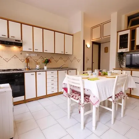 Cavalluccio Marino I2 Silvi