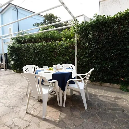 Cavalluccio Marino I2 Silvi Silvi Marina